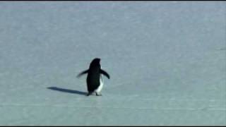 It’s not a meme anymore, it’s an icon, inspiration!