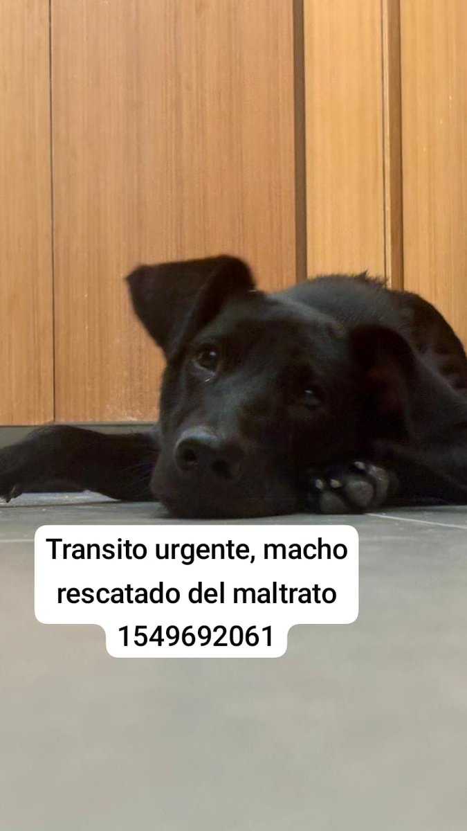 patripeyrou's tweet image. Difundimos