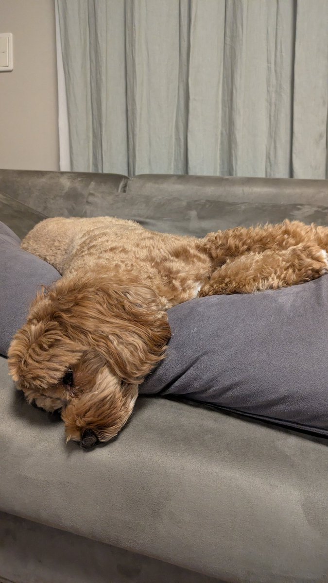 リラックス的な。