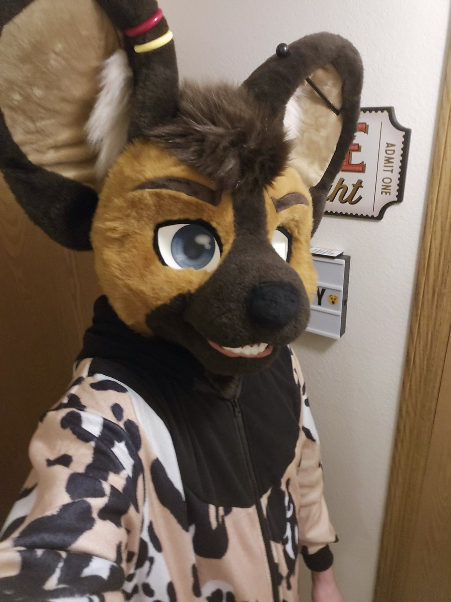 SideStride tweet media