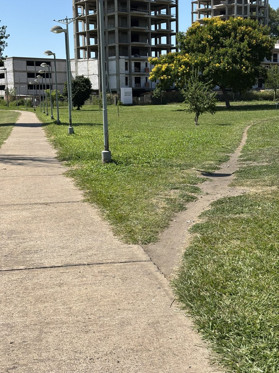 mariano_bar's tweet image. Norma jurídica / usos y costumbres