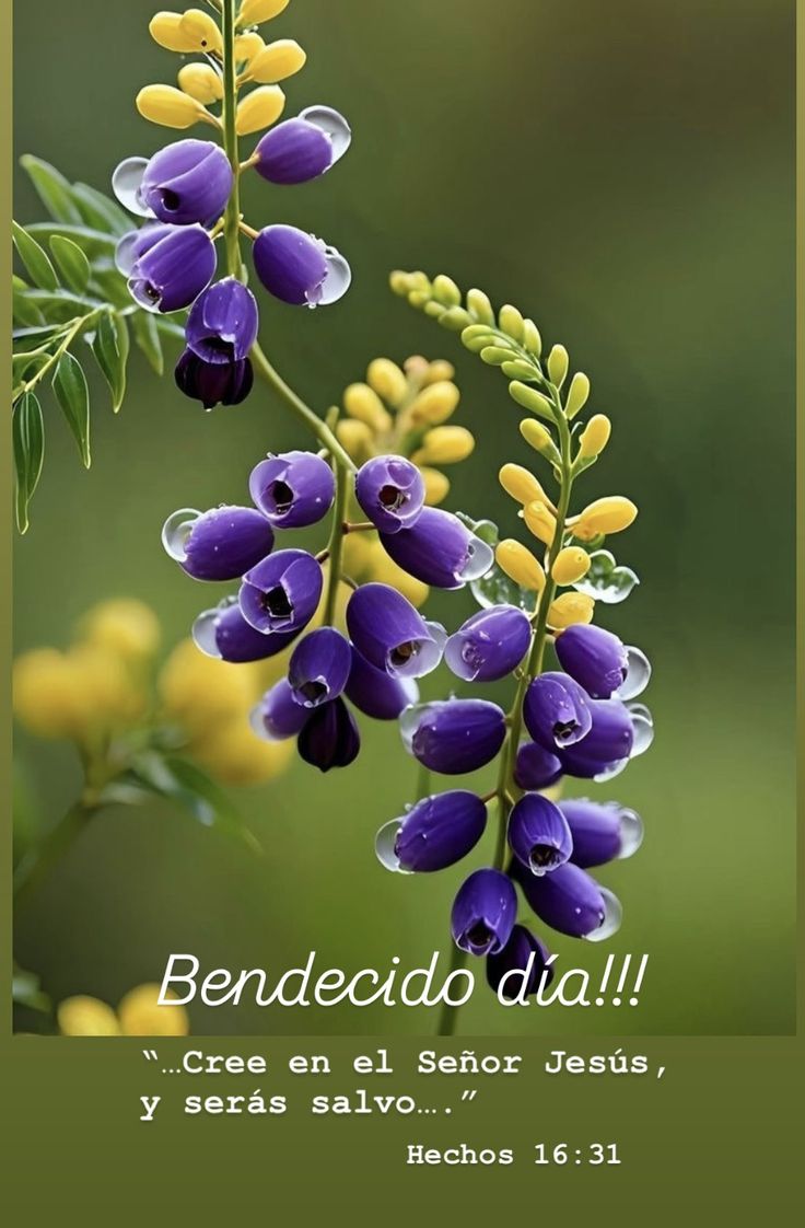 Bendiciones!