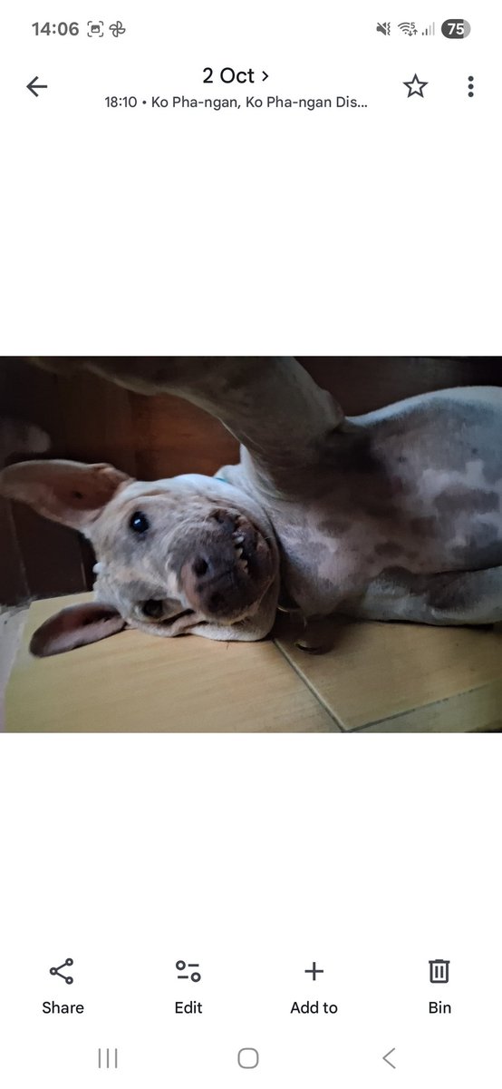 Rebecca รีเบคก้า tweet media