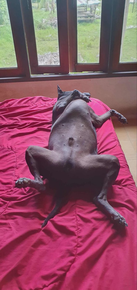 Rebecca รีเบคก้า tweet media