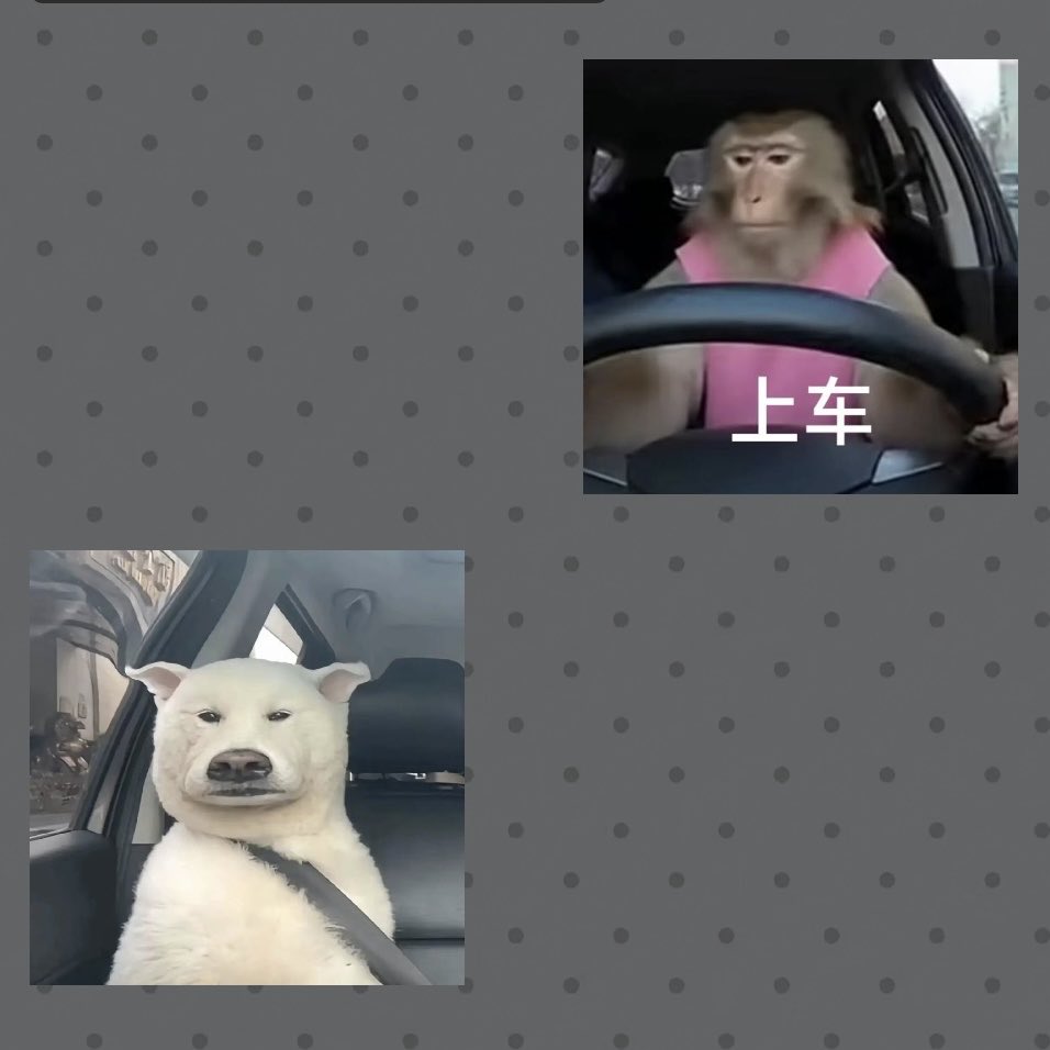 蛋子 tweet media
