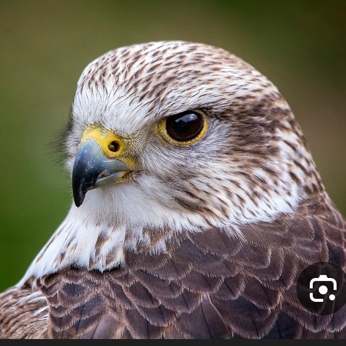 #صورة_ملف_شخصي_جديدة