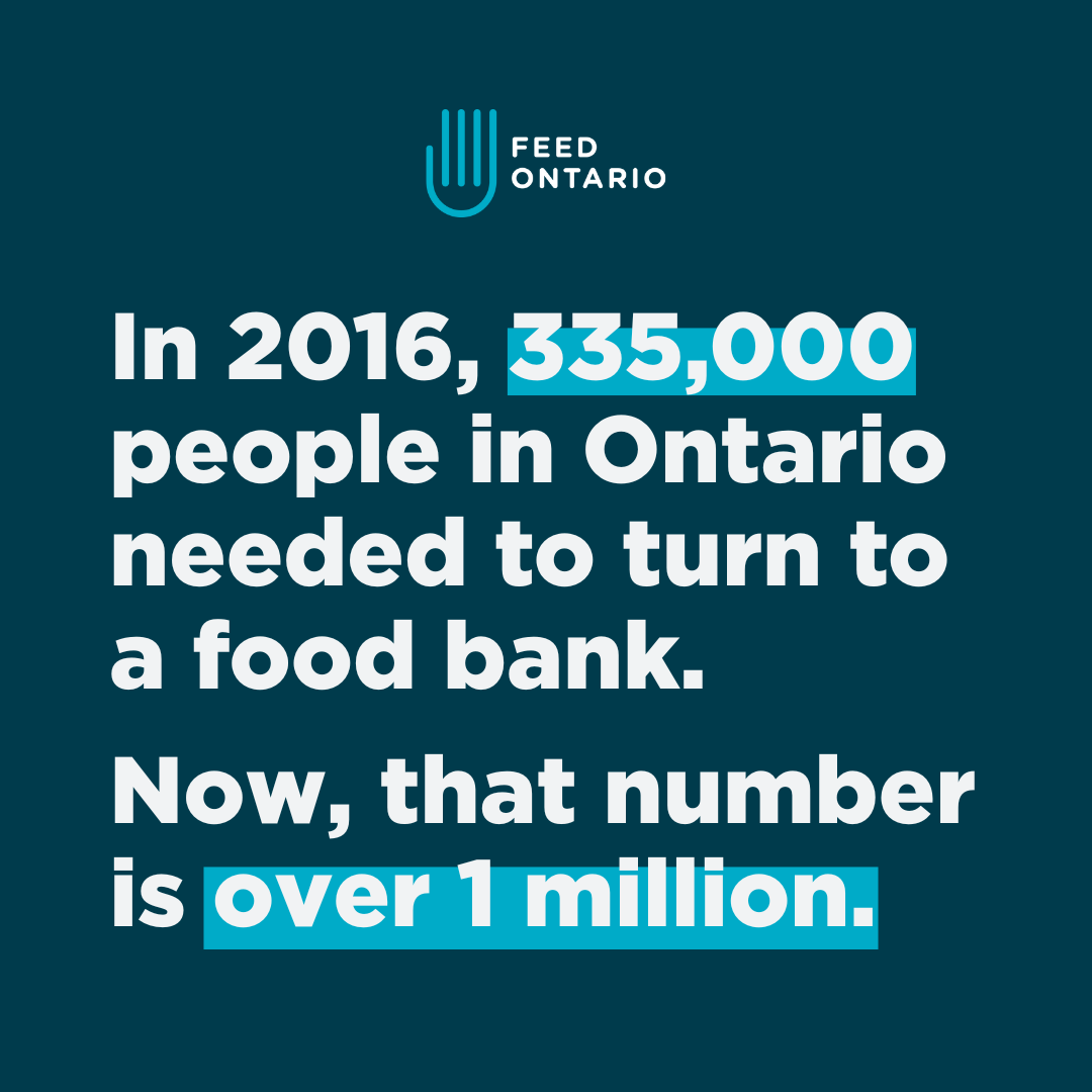 Feed Ontario tweet media