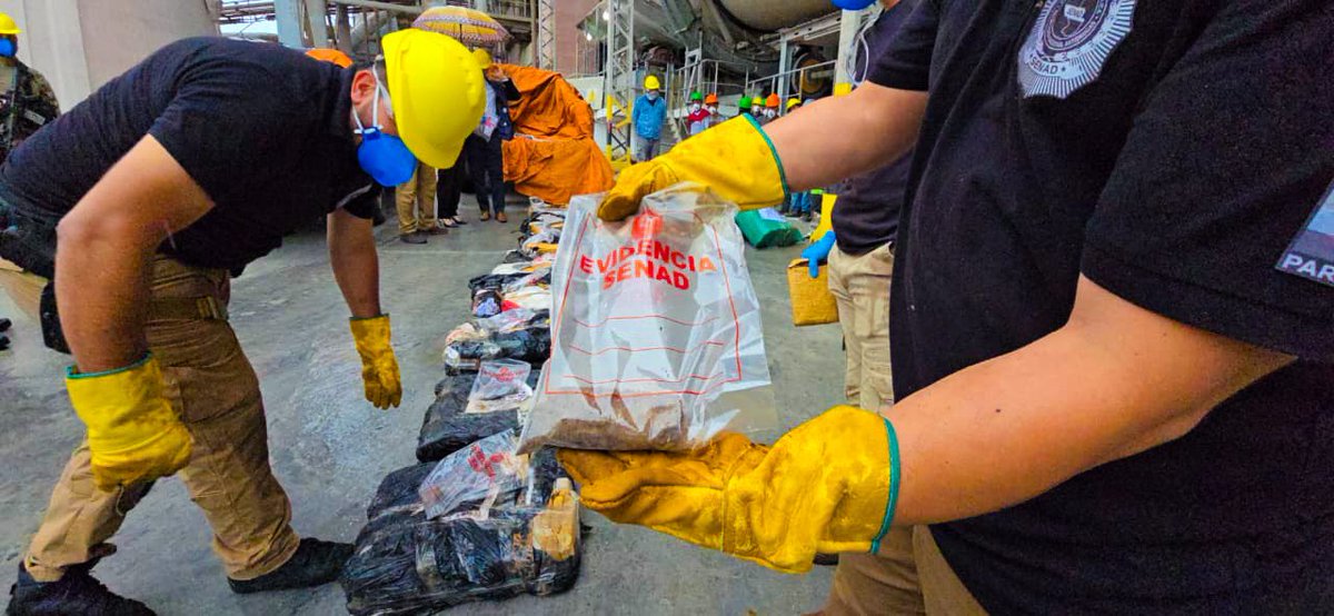 Across Latin America, more than 2 million kg of marijuana are seized each year.

In Paraguay, 688 kg were safely disposed of with the support of UNODC, which provided technical expertise and guidance to prevent diversion risks and protect communities and public health.