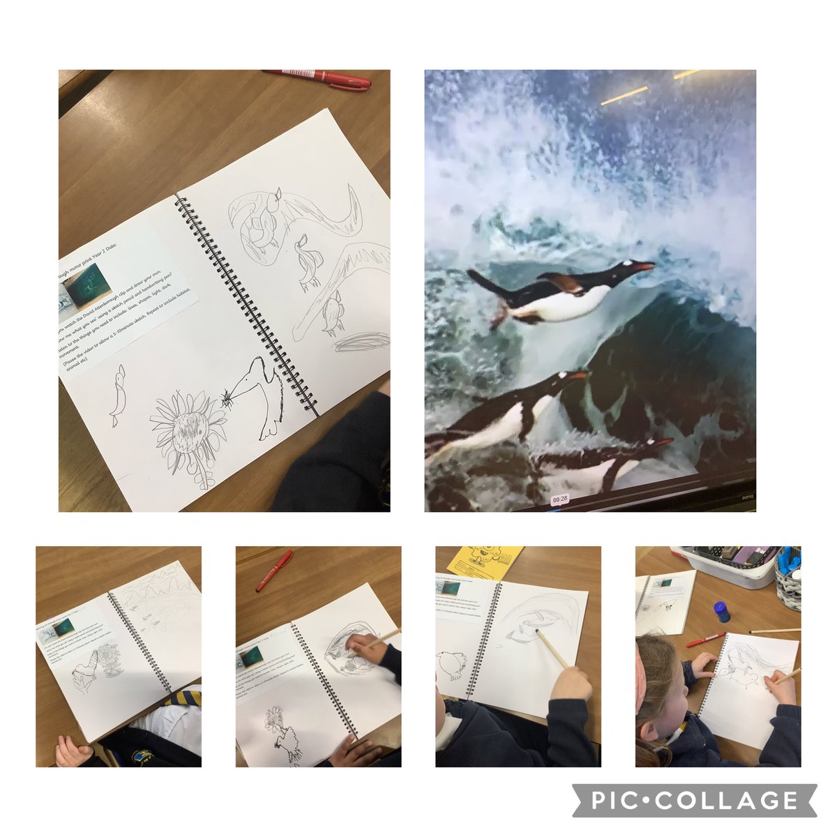 St Werburgh’s and St Columba’s CPS tweet media