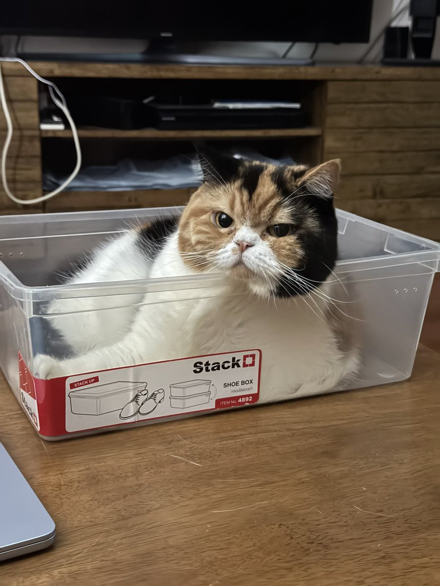 yayee2548's tweet image. สวย น่ารัก อัธยาศัยดี