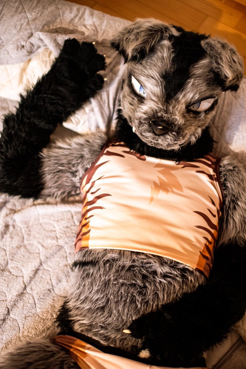 mp_696's tweet image. 📸:@wolfroof 
 #FursuitFriday