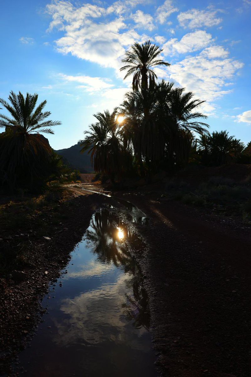 • #شتاء_حائل

في حضن ضلعان حائل 🌄
  يتكوّن هذا المشهد 🌴

📸 | #حائل_الأجمل • #أمانة_منطقة_حائل