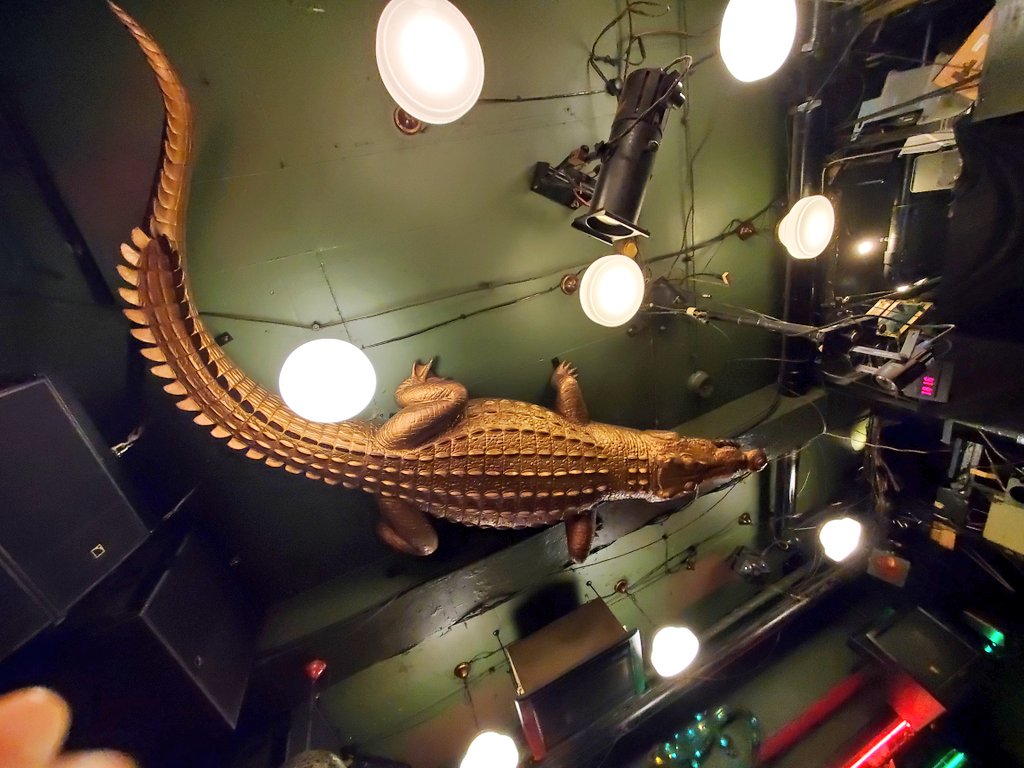 bordermarch's tweet image. 久しぶりの🐊(*^-^)