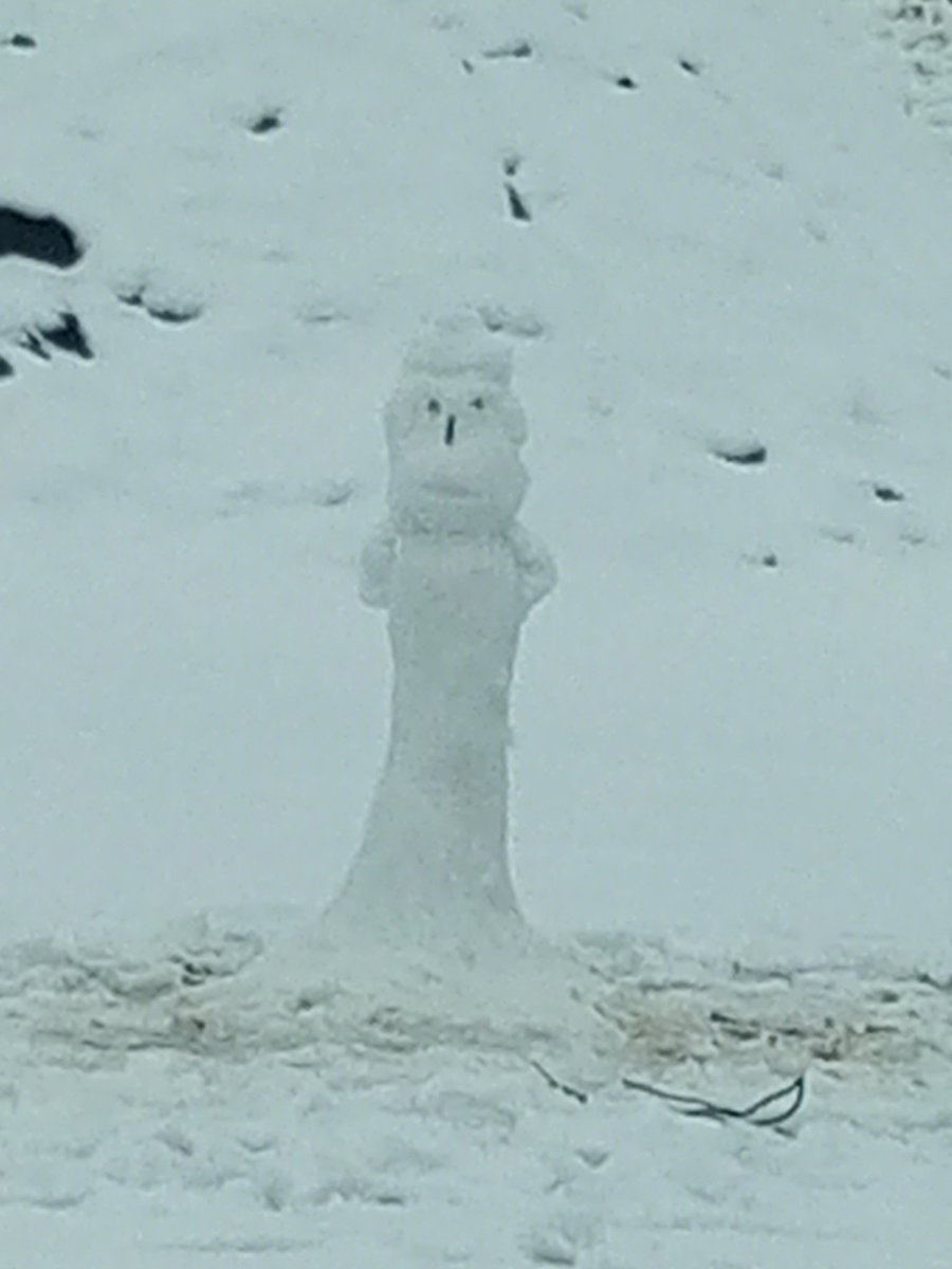 Kardan adam değil sanki 😀