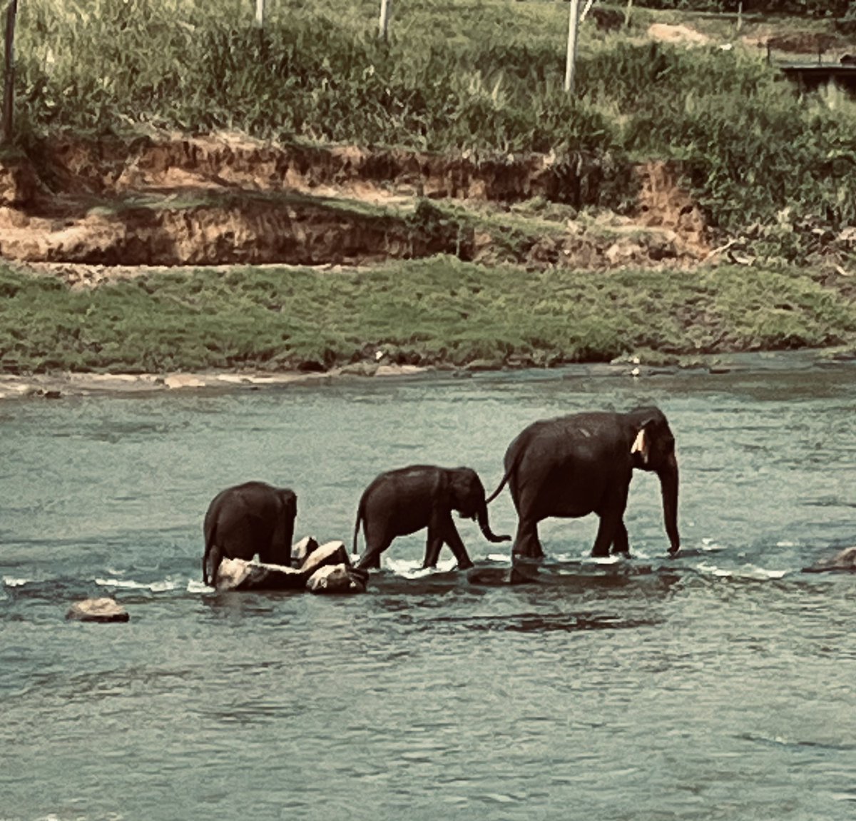 Col Simon Westlake Royal Marines tweet media