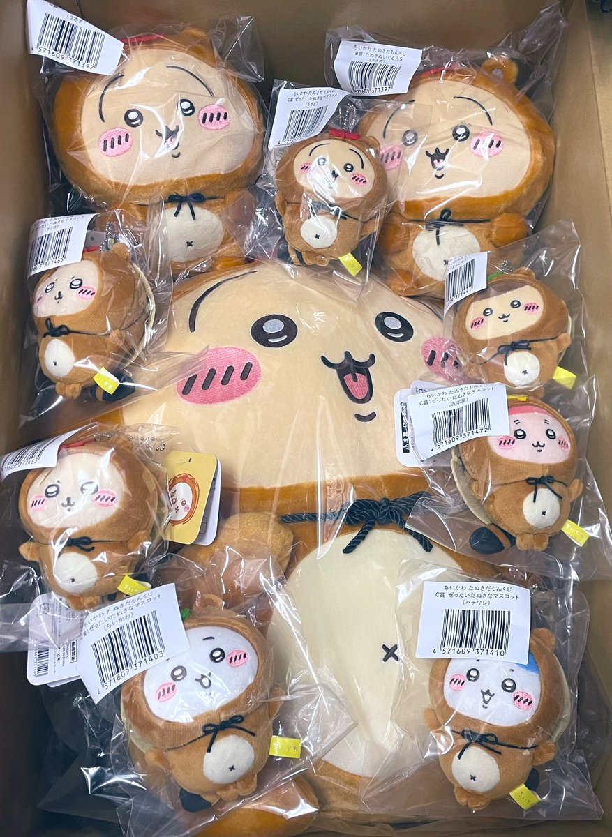 うさぎの誕生日の翌日にうさぎだらけのたぬきだもんくじが届いた