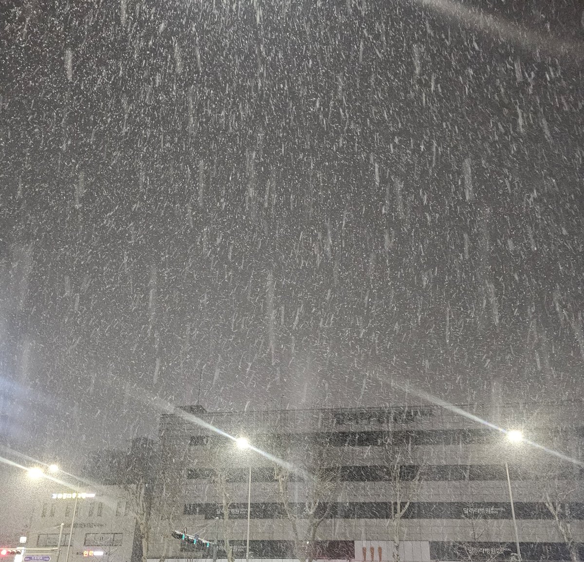 눈새끼야 제정신이냐고 물었다
집와서 씻고 나오니까 11시 쳐 넘어있네 아
락월은 주말에 보고 두쫀두 영상이나 보고
힐링해야겠다......샤발