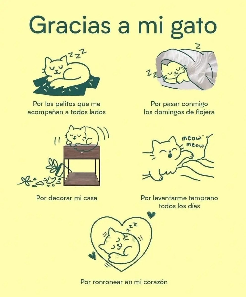 Tio Felino (Leo) tweet media