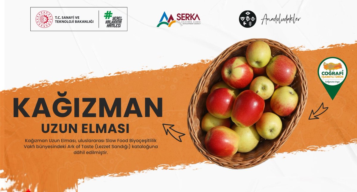 KAĞIZMAN UZUN ELMASI

İnce kabuğu, uzun raf ömrü, kendine has aroması ve çekirdek evindeki yıldız şekliyle öne çıkan kadim lezzet, Kağızman Uzun Elmamız, elde ettiği küresel tescil ile bölgemizin gastronomi turizmindeki marka değerini daha da pekiştirecek, dünya sahnesine
