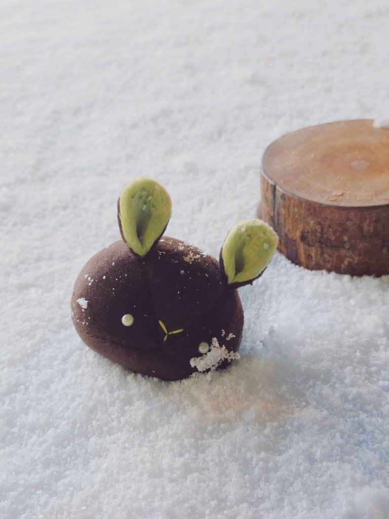 공방에눈이 많이와요
저는 귀가할수없어요
쫀득토끼빚어요

:･ﾟ✧:･.☽˚｡･ﾟ✧:･.:
oO(여기서구르면 
찹쌀쫀득토끼가될까?)
:･ﾟ✧:･.뵤옥｡･ﾟ✧:･.: