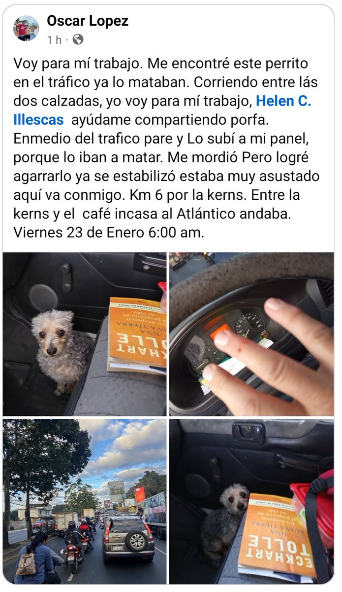 Post de FB ⏩️⏩️⬇️⬇️