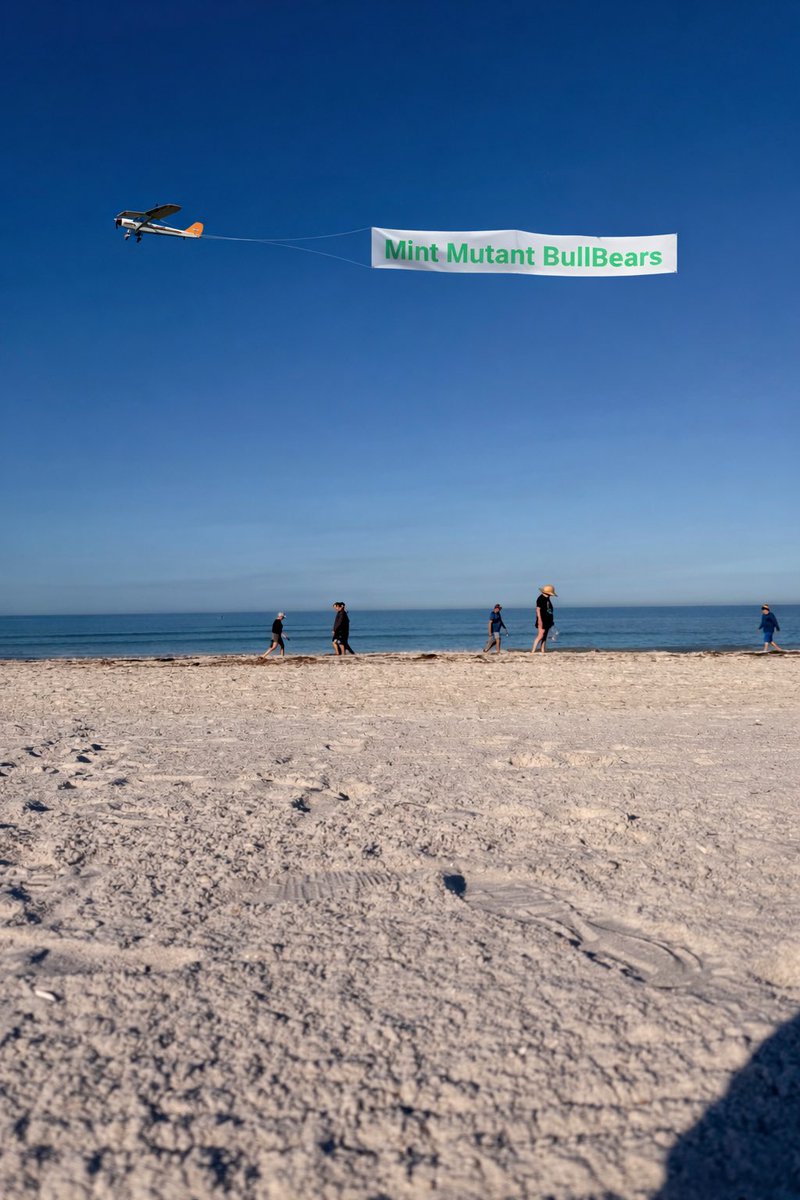 Did you happen to see this Plane?