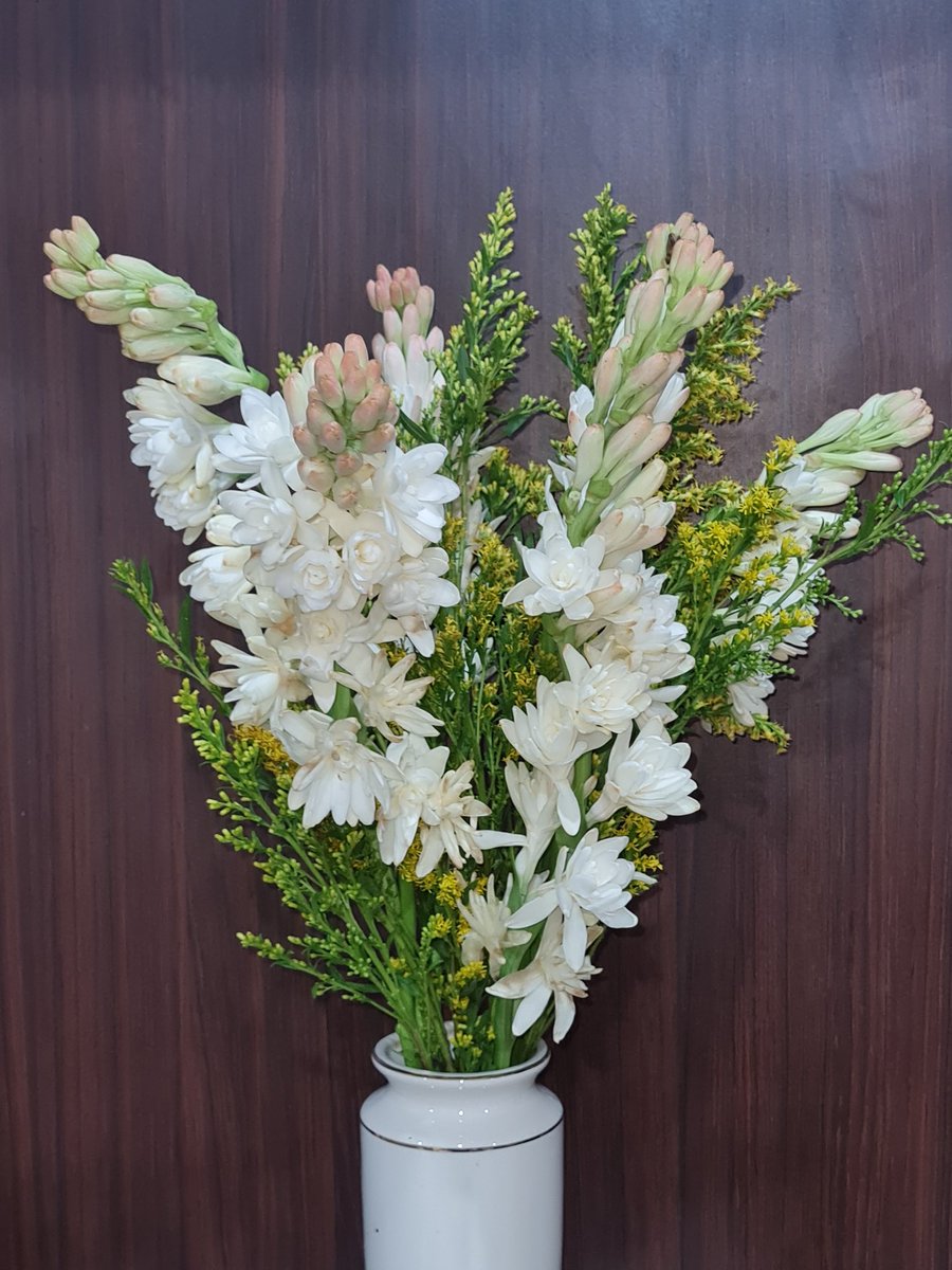 Seneng ya, ketemu sedap malam yang rimbun dan wangi 💖