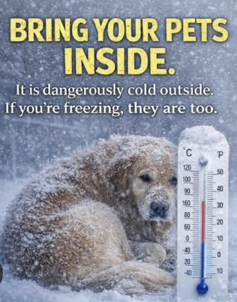 RoCoGB's tweet image. ⚠️Severe weather warning, please be prepared⚠️