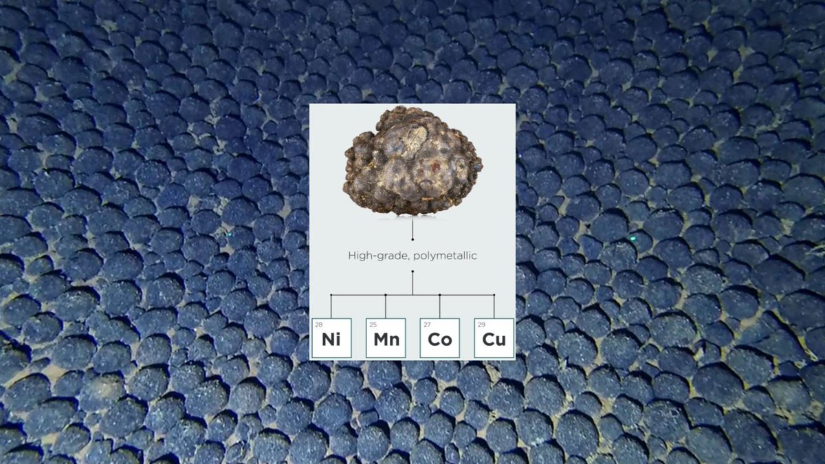 andrew slark tweet media