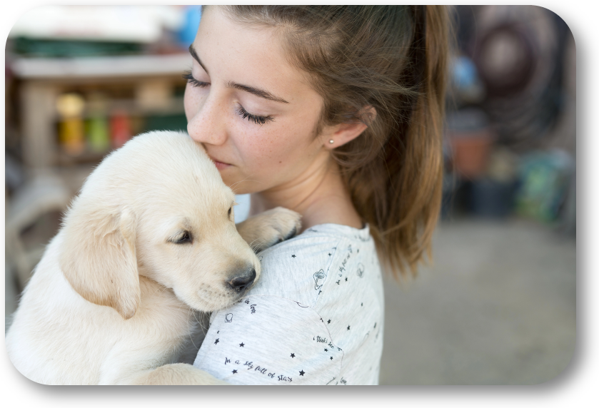 NoGaDogTraining's tweet photo. Why Does Training a Puppy Require So Much Patience? Proper training is based on repetition. It is not based on speed. #dogtraining #dogtrainer #dogtrainingnearme #homedogtraining #obediencetraining https://t.co/3KtvoRkqHu https://t.co/9V6zncbWsv