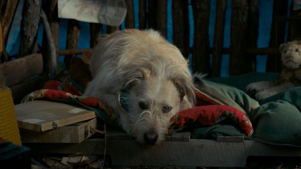 smalltownrobin's tweet image. A moment for the ones abandoned from the narrative without a word