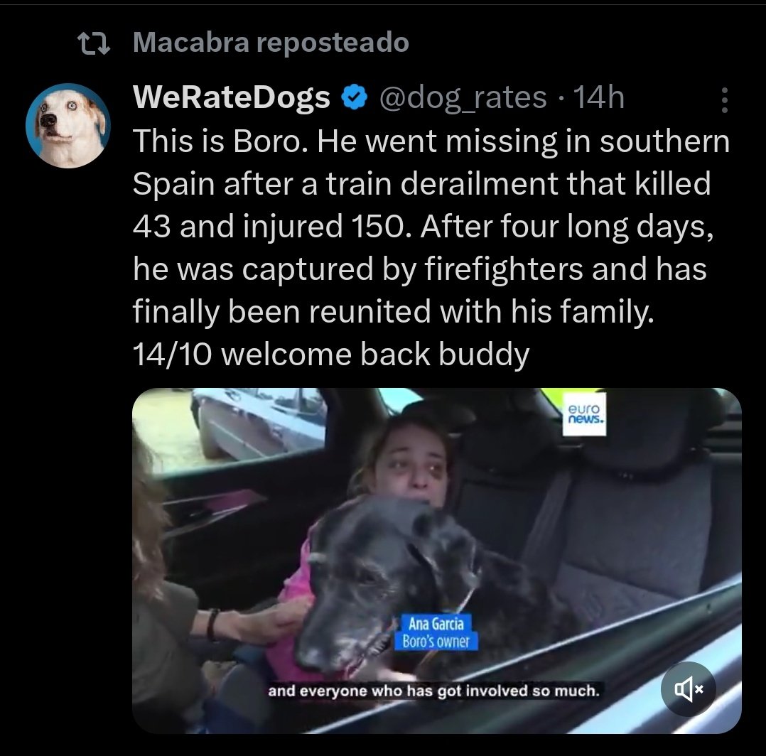 Ayer varios buscaperros no entendían cómo podía decirles que soy tremendamente superior a ellos a nivel moral.