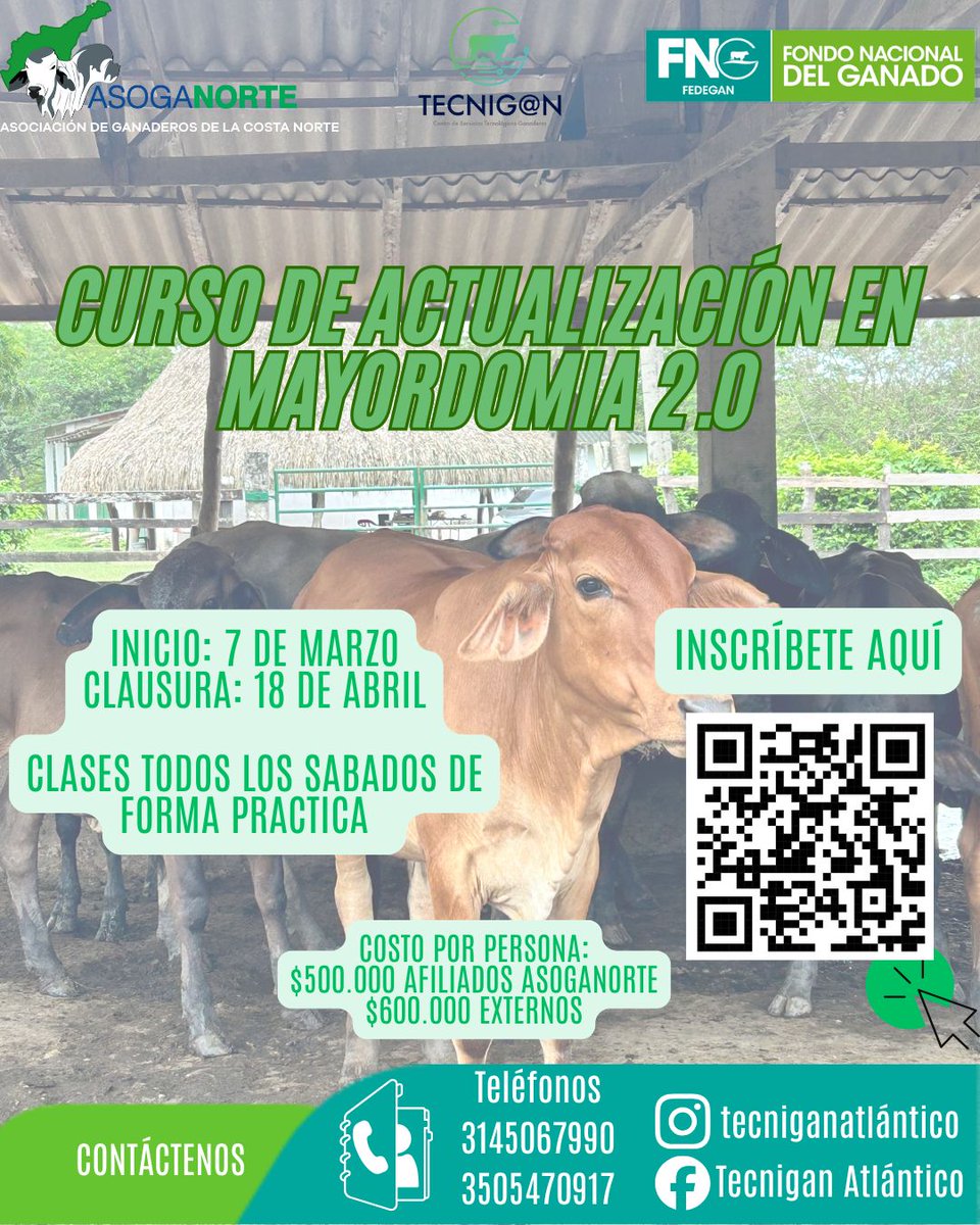 ASOGANORTE's tweet photo. 🚜🐄 ¡Inscripciones abiertas para el Curso de Actualización en Mayordomía 2.0!
📅 Inicio: 7 de marzo
🏁 Clausura: 18 de abril
💰 Inversión:
• $500.000 afiliados
• $600.000 externos

👉 Inscríbete aquí:
https://t.co/M4nsD5QwOC https://t.co/pcM7sqU2A8