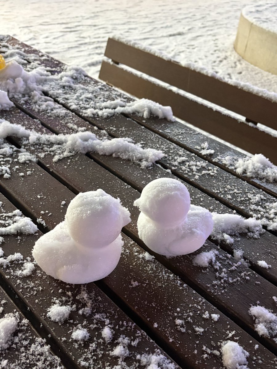 7goodmemory's tweet image. 눈이 왔어요!