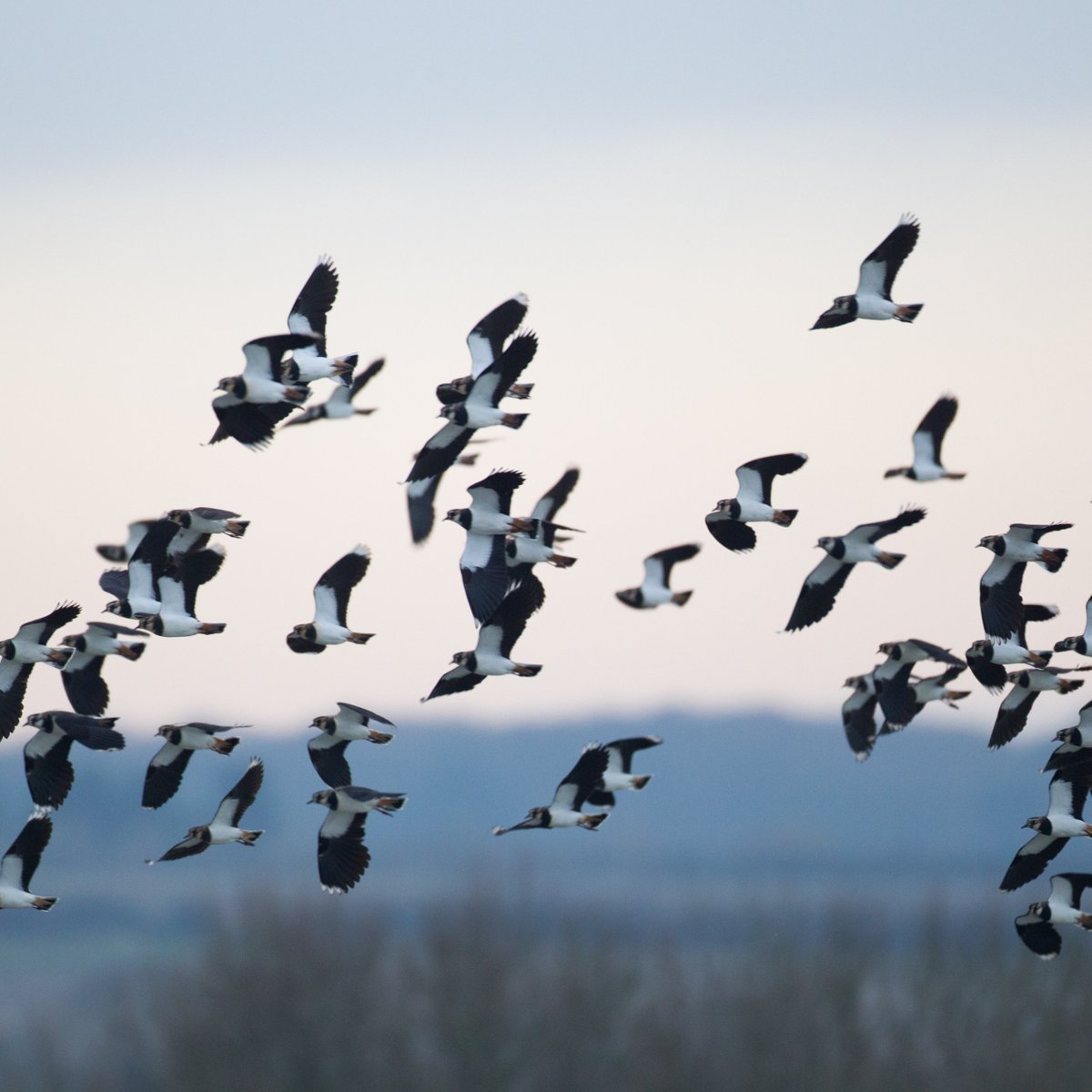 Natural England tweet media