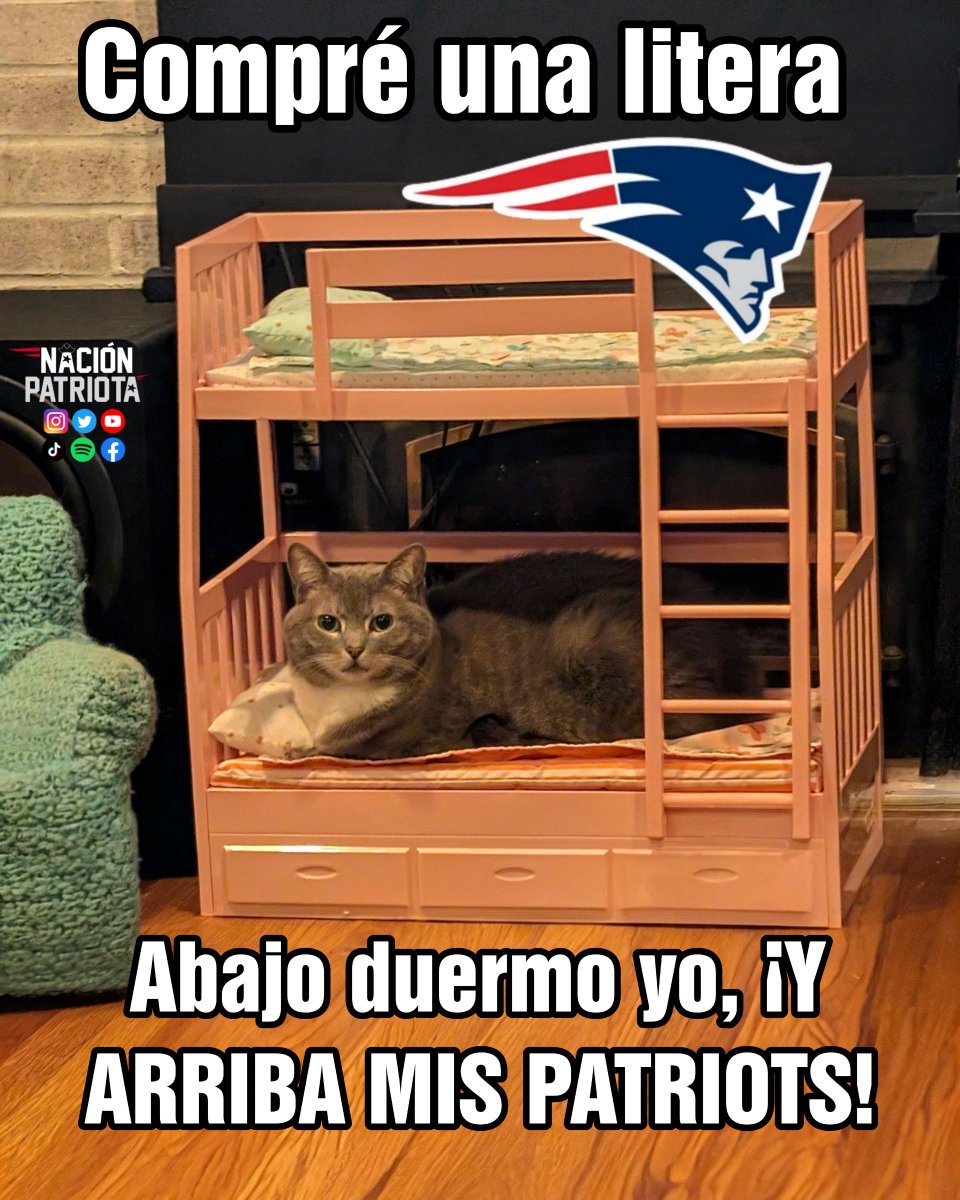 BUEEEENOSSS DÍAAAAAAASSS NACIÓN ‼️