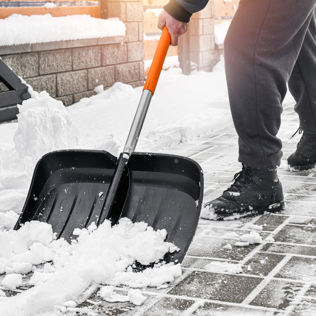 Hayat Pharmacy tweet media