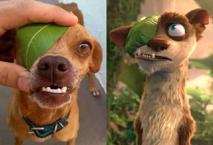 itsme_urstruly's tweet image. 