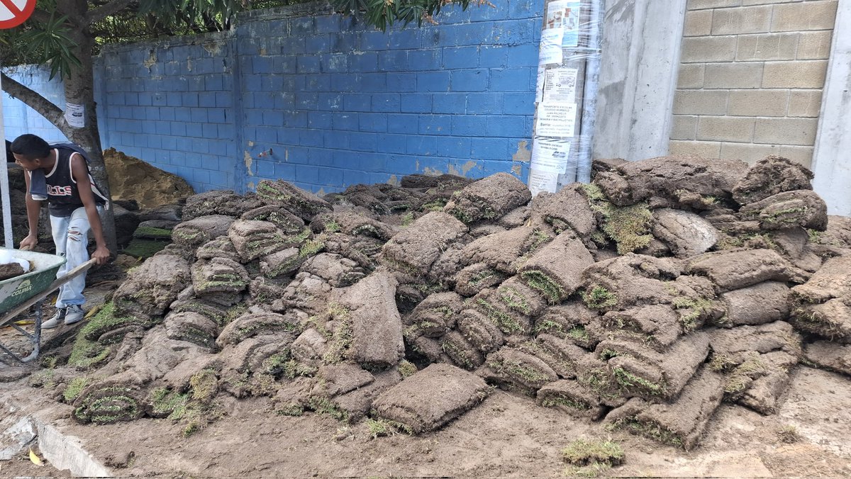 La grama del estadio metropolitano llego al
I.E.D Alexander Von Humboldt.

Detalle de fina coqueteria con los estudiantes <a href="/AlejandroChar/">Alejandro Char</a> <a href="/alcaldiabquilla/">Alcaldía de Barranquilla</a>