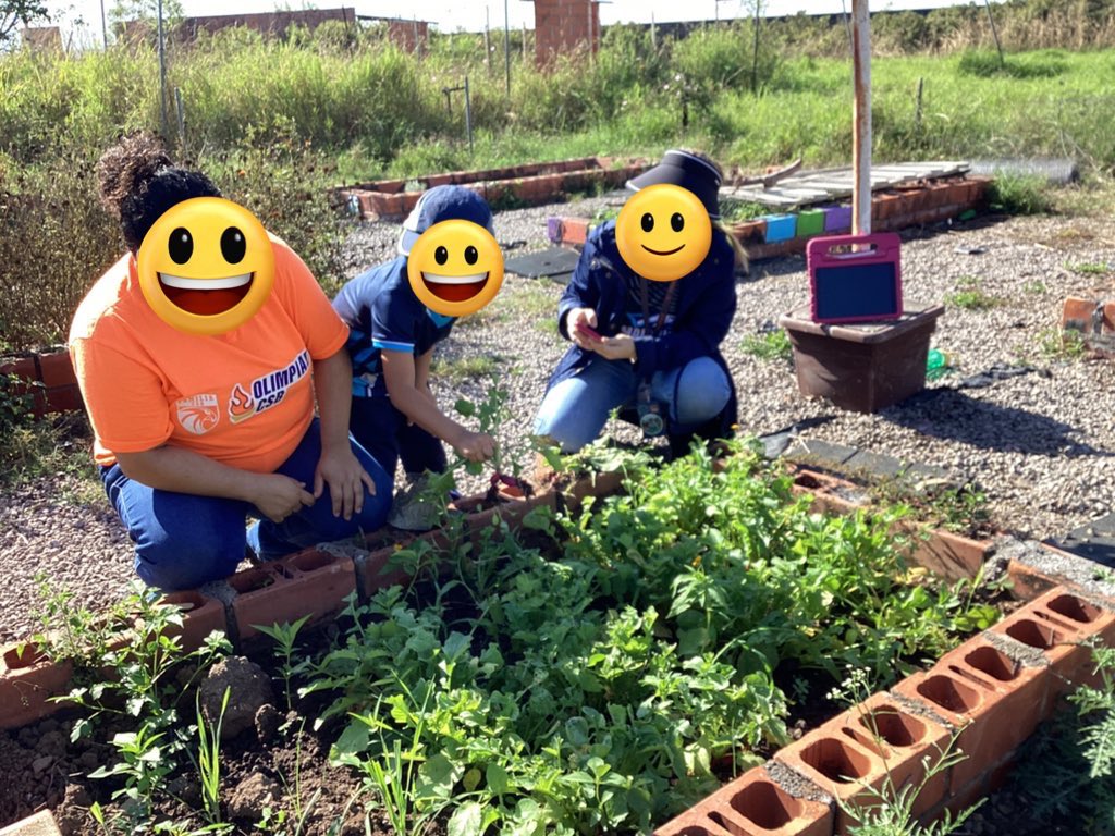 Los chicos de K3 vivieron la experiencia de llevar a cabo la cosecha de verduras 🌽 🥕🥕🫜 involucrando la tecnología en donde realizaron una línea del tiempo sobre el desarrollo de una verdura, trabajando en el huerto escolar para que la experiencia fuera más increíble.

#SCB