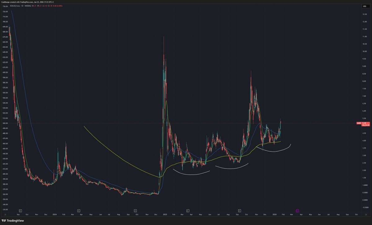cool mango trader tweet media