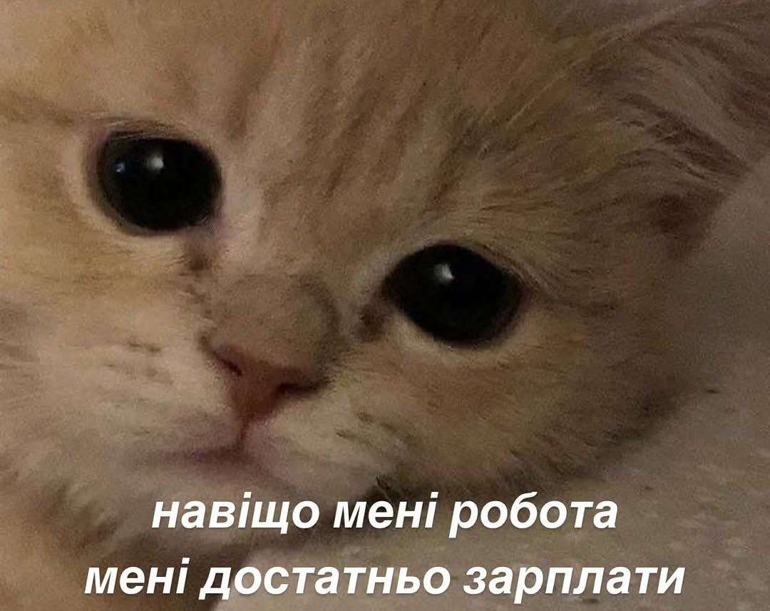 babaikit's tweet photo. https://t.co/PH0XhlXefQ