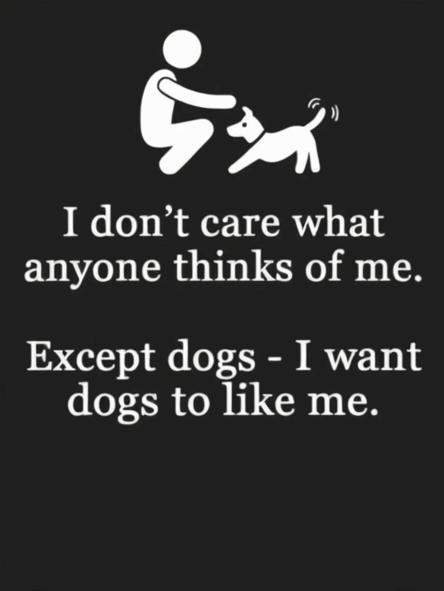 HeckinGoodDogs's tweet image. 