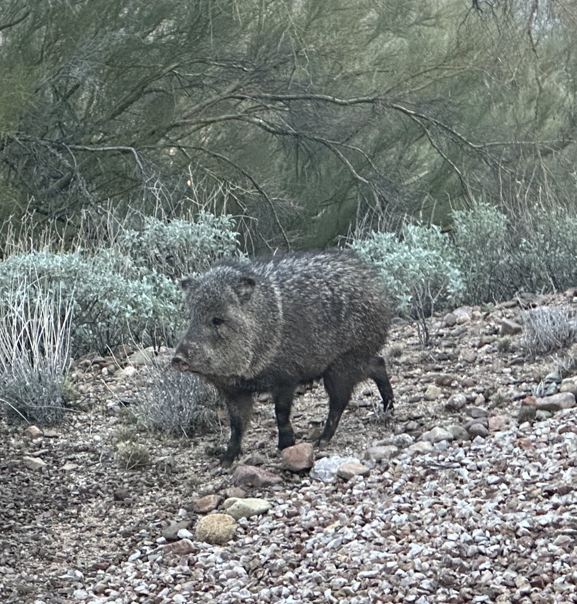 The Factor Report tweet media