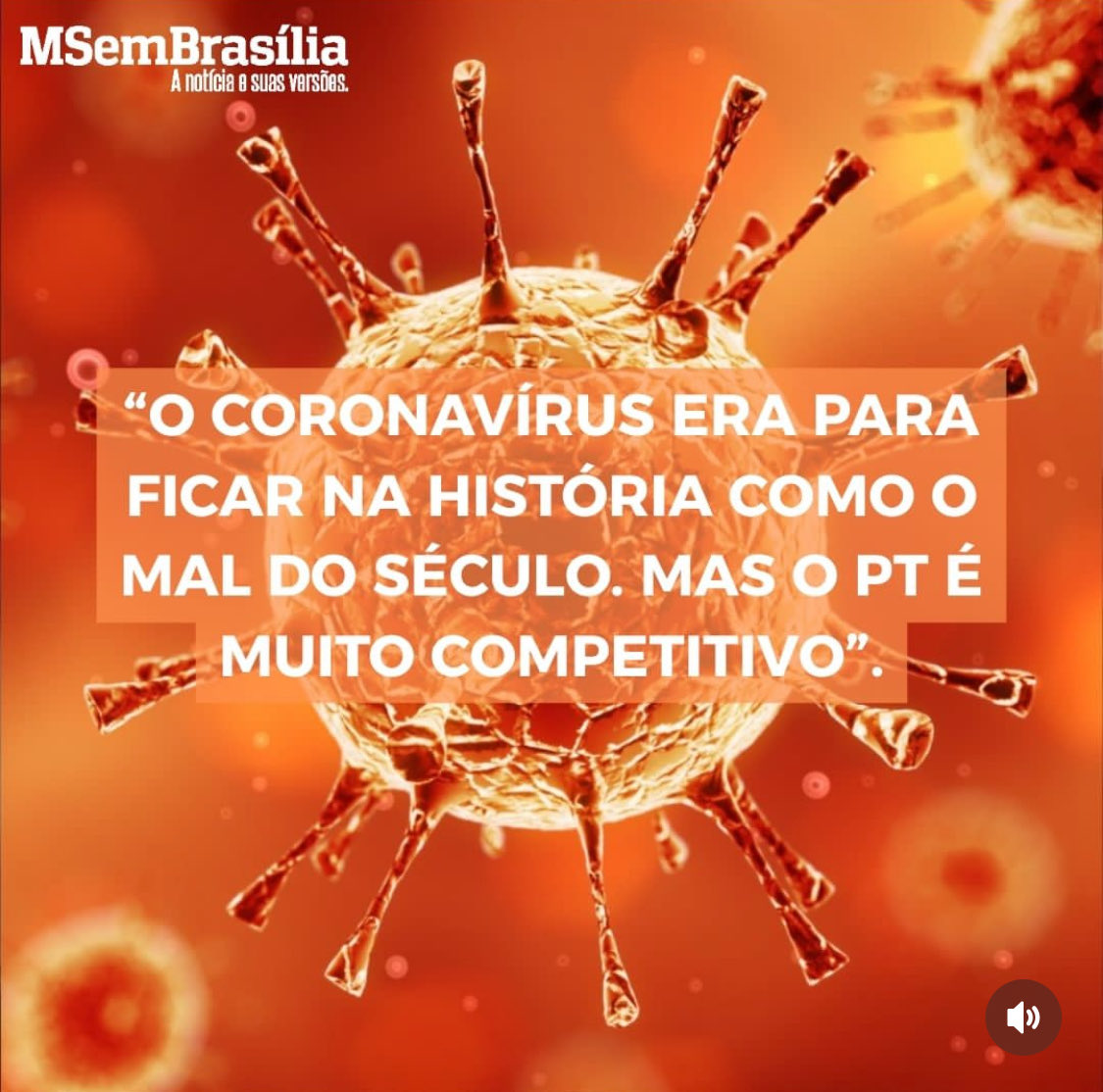 RenzoGracieBJJ's tweet image. Volta @jairbolsonaro 🙏🏼🙏🏼❤️🔝🔝