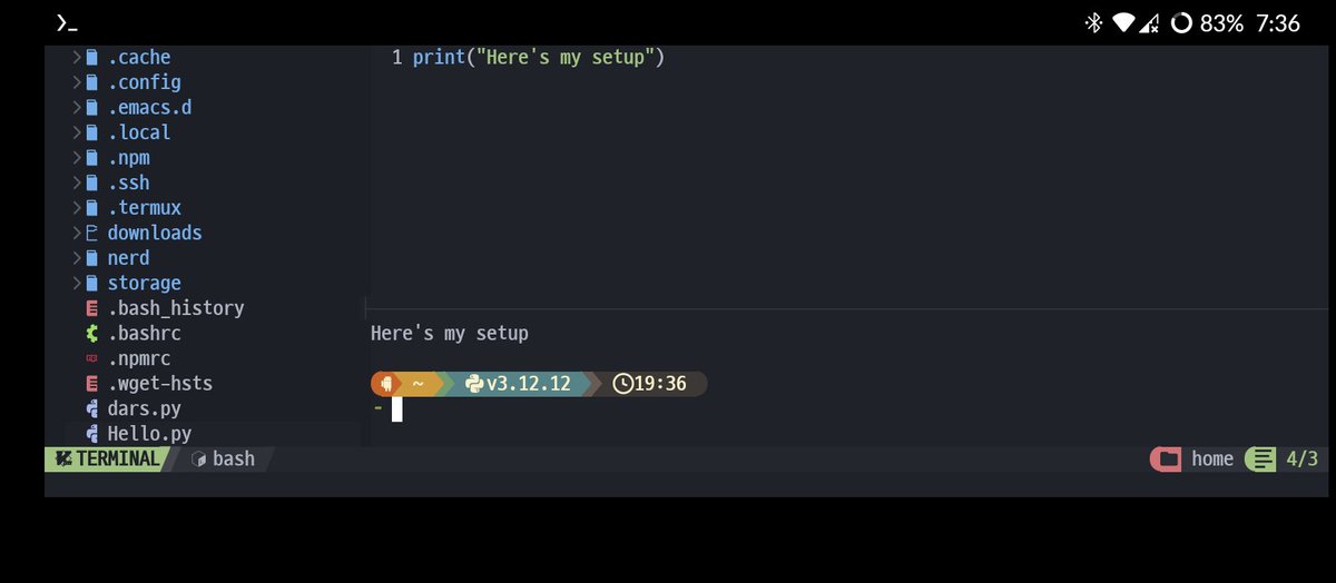 ElijahTermcode's tweet photo. Actually its not my first experience with coding. I have termux installed python and neovim code editor pretty styled I think. Here's my setup) https://t.co/TpYcEA7jQU