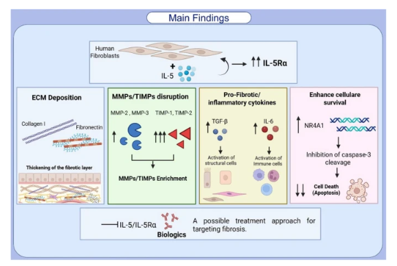 Respiratory Medicine Portfolio tweet media