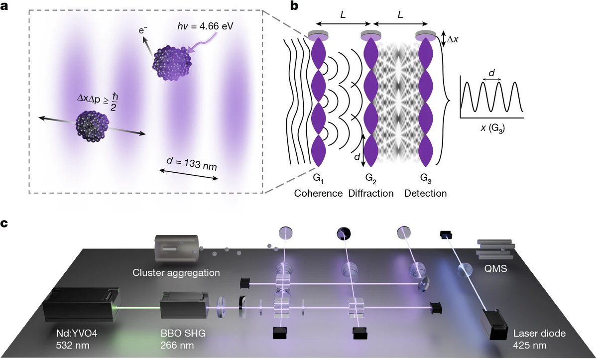 skdh's tweet image. A new record for quantum superpositions! 

You might say quantum mechanics is already strange enough with particles acting like waves and being in two places at once and whatnot, but scientists just set a new record for how big this weirdness can get. 

In the new experiment that…