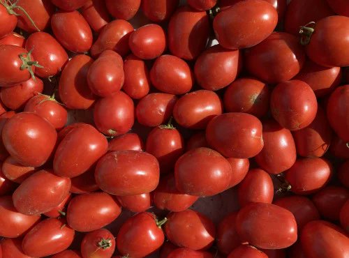 VibesFoot's tweet image. 🔴 𝗦𝗖𝗢𝗧𝗧 𝗠𝗖𝗧𝗢𝗠𝗜𝗡𝗔𝗬 𝗔̀ 𝗣𝗥𝗢𝗣𝗢𝗦 𝗗𝗘 𝗟𝗔 𝗖𝗨𝗜𝗦𝗜𝗡𝗘 𝗜𝗧𝗔𝗟𝗜𝗘𝗡𝗡𝗘 🍕🇮🇹

« 𝗢𝗵 𝗹𝗮̀ 𝗹𝗮̀, 𝗹𝗲𝘀 𝘁𝗼𝗺𝗮𝘁𝗲𝘀 ! 𝗕𝗲𝗹𝗹𝗶𝘀𝘀𝗶𝗺𝗼 ! Je n'en ai jamais mangé chez moi, ce n'est que de l'eau. 😅

𝗜𝗖𝗜, 𝗘𝗟𝗟𝗘𝗦 𝗢𝗡𝗧 𝗩𝗥𝗔𝗜𝗠𝗘𝗡𝗧 𝗟𝗘…