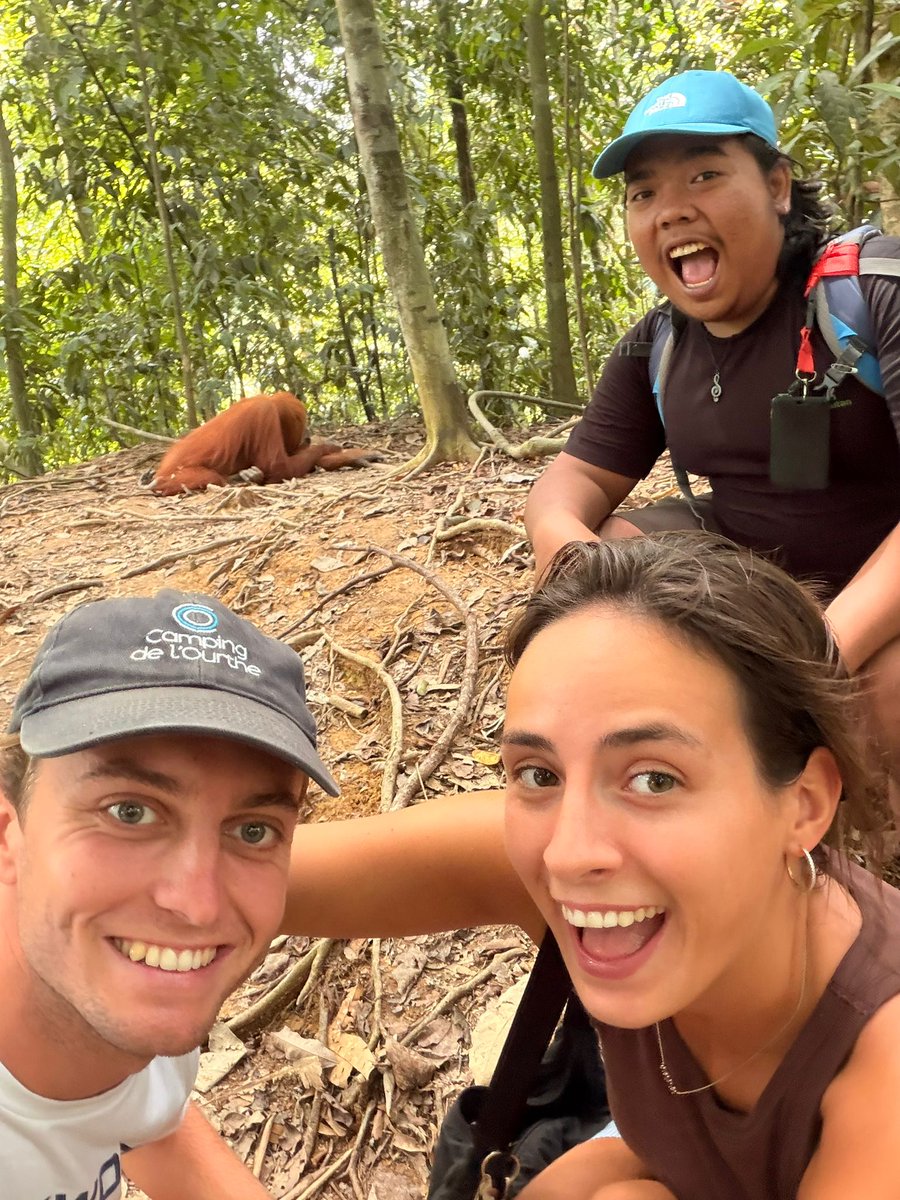 operasionalwh's tweet photo. One tree. One moment. One promise.
Today our guests didn’t just visit the rainforest — they helped protect it.
In Bukit Lawang, every step into the jungle is also a step toward conservation.
Thank you for planting hope with us . https://t.co/GckghH6djW